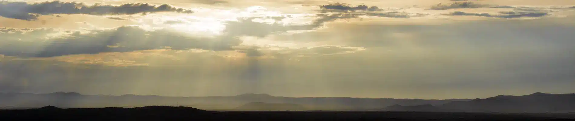 2022 AUTUMN LUNCHEON